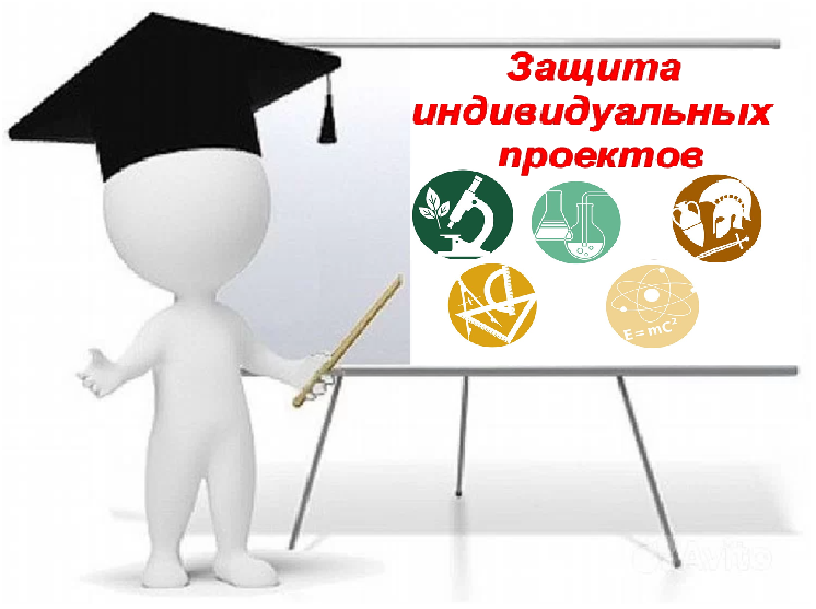 Защита индивидуальных проектов.